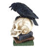 Poes Raven Skull