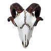 Rams Skull Miniature