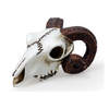 Rams Skull Miniature