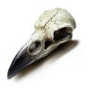 Reliquary Raven Skull