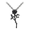 Romance Of The Black Rose Pendant Necklace
