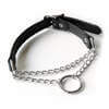 Leather choker with Silver ring and slip chain choker