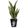 Wet Your Plants Ceramic Plant Pot