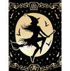 Witch by Moonlight LED Light Lantern