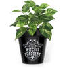 Witches Garden Plant Pot