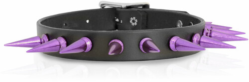 NEW Purple Pentagram Heart Spike Choker store