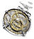 Anguistralobe Pendant alternate view