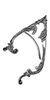 Arboreus Earwrap