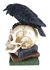 Poes Raven Skull alternate view