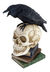 Poes Raven Skull view 1