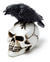 Raven Skull Miniature